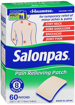 SALONPAS PAIN REL PTCH 60